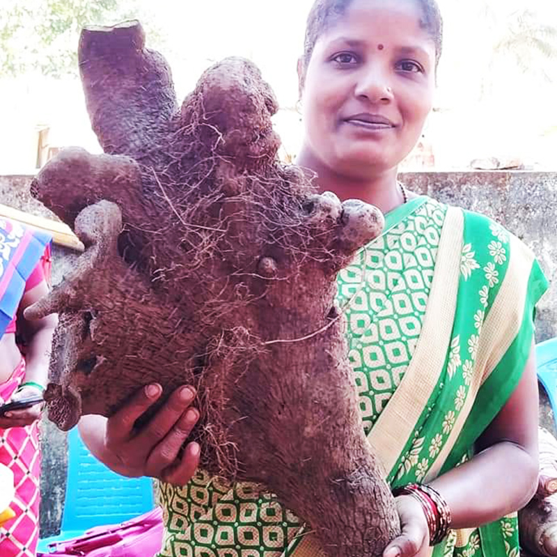 The-Joida-Tuber-Mela-image3